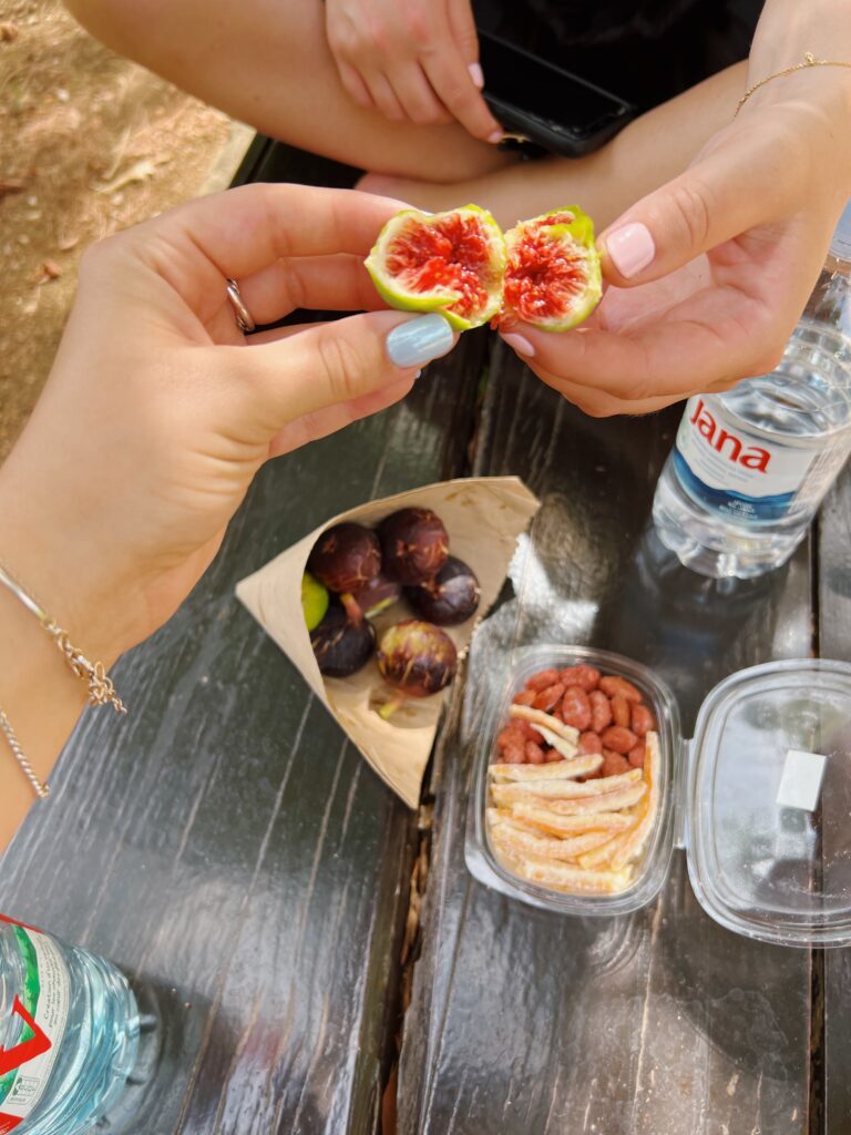 picnic figs 